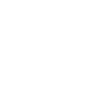 FirefishData_logo